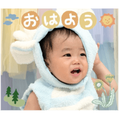 Saku-1year