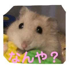 omochi_20230714193536
