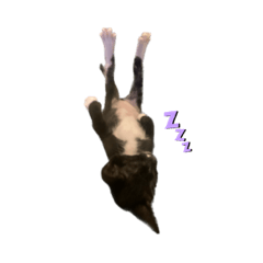 SAORI_20230714215531