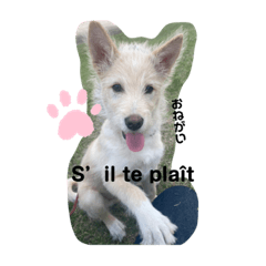 Minorin_20230714221832