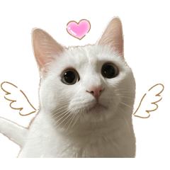 omochi_20230714220942