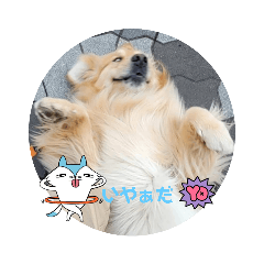 kana_20230714225824