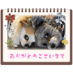 AOI_20230714210035