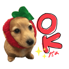 gomaokomeunagichikuwa