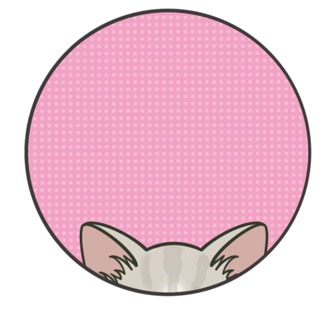 Kitten flying sticker 23