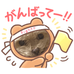 kotaken_20230715173507