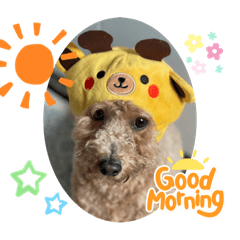 Sayuri_20230715205200