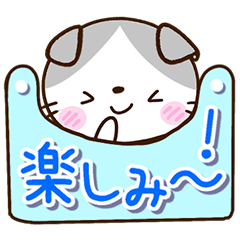 Sticker of Scottish Fold cat3