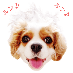 ルンルンのLINEスタンプ - LINE スタンプ | LINE STORE