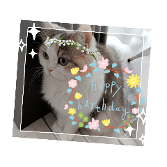 seeeera_20230715223003