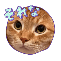 nao_20230715222540