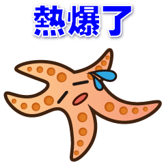 Cute starfish-practical everyday