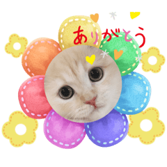 Hiyori_20230716121922