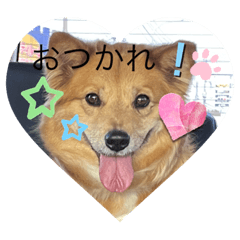 Akiko_20230715193451