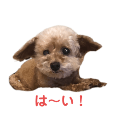 yuka_20230715235019