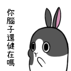 Ferocious rabbit 5