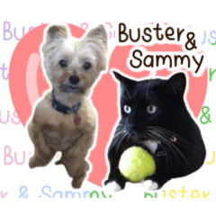 Buster & Sammy