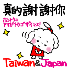 Taiwan. Happy toy poodle.
