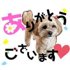 hana_20230716192454