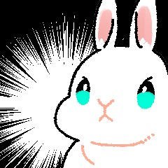 rabbit sil-chan