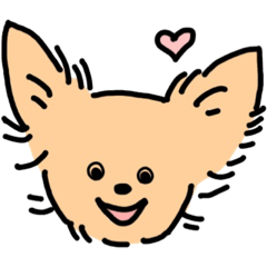 andy the chihuahua