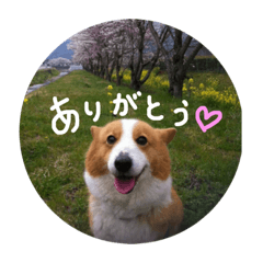 nao_20230717113210