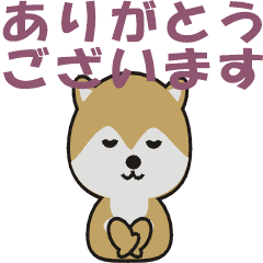 Shiba inu Hazuki sticker