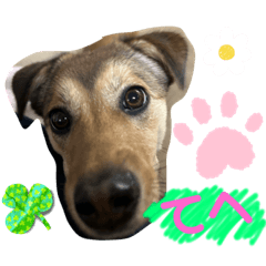 shimakeynon_20230717151354