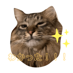 HANA_20230718101219