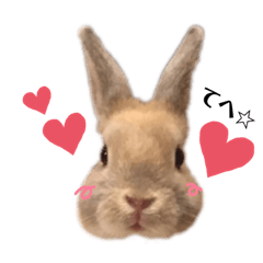 Little rabbit UNI sticker