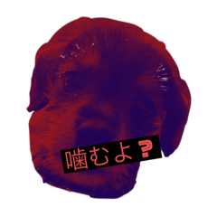 yuto_20230717203530