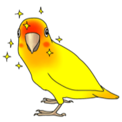 The colorful rosy love bird stickers 2