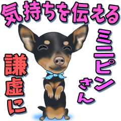 A mini pin dog that conveys feelings