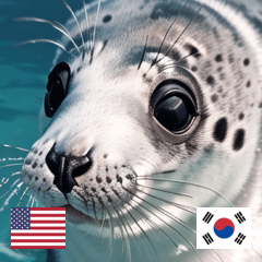 EN KR summer baby seals