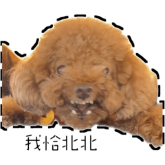 我家惡（餓）狗