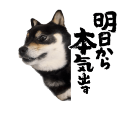 y_20230717171759