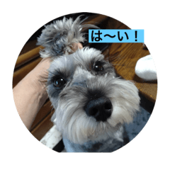Shuu_20230717232057