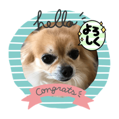 Hana_20230718111255