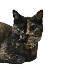 natsumi_20230718121346