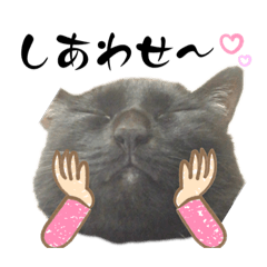 saori_20230717194008