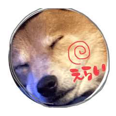 suzu_20230717225358