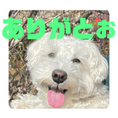 AOI_20230718105757