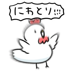 simple chicken Daily conversation