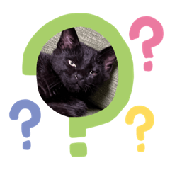 tsubaki_20230718174207