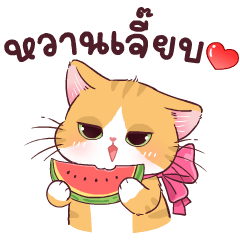 Orange Cat : (Thai V.)