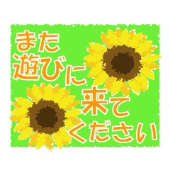 yellow_20230718172046