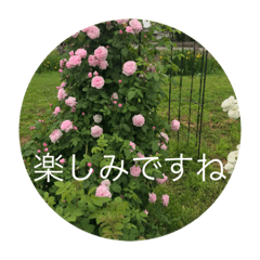 Michiko_20230719002123