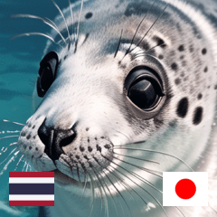 THAI JP summer baby seals