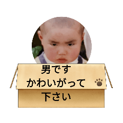 AOI_20230718205435