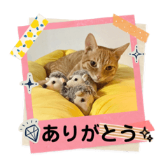 Arisa_20230718184716